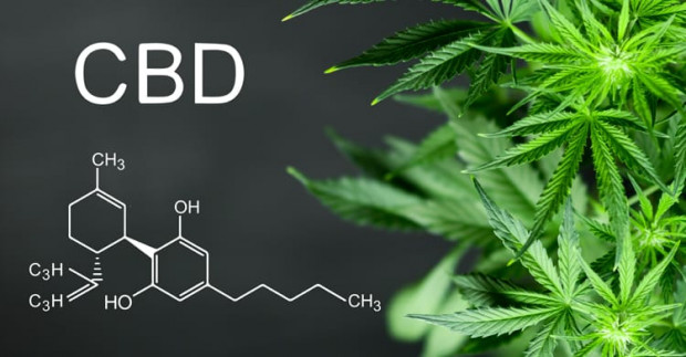 About CBD
